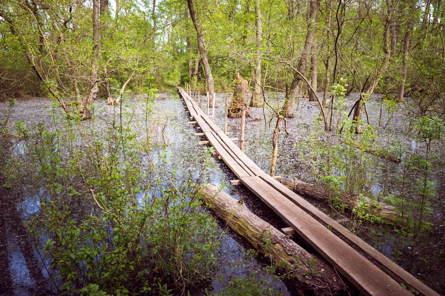 Roumanie - Le Delta du Danube