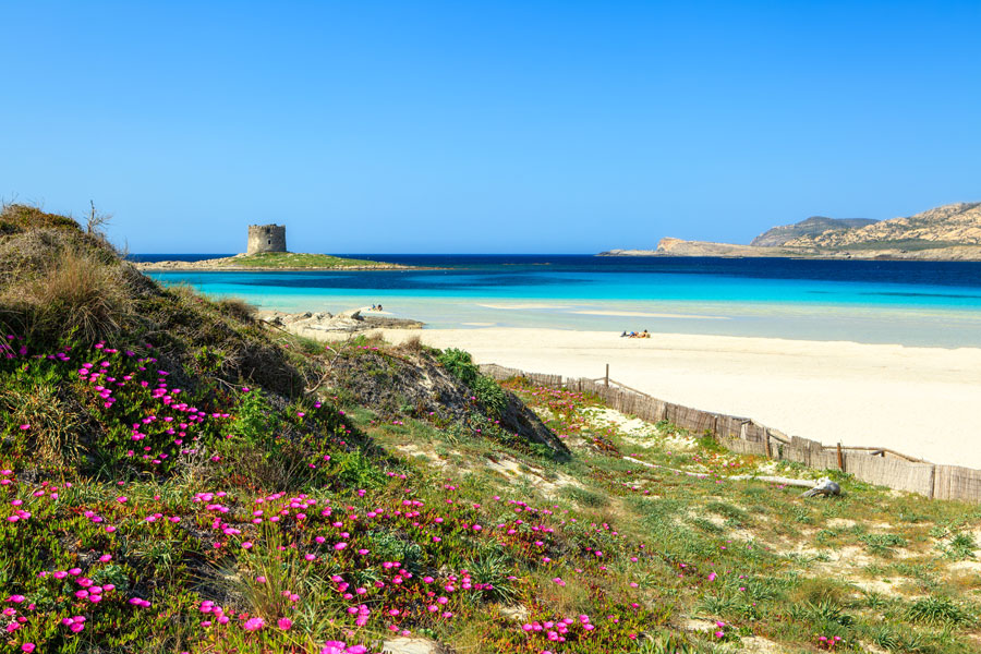 Sardaigne - La Cité d'Alghero et sa Région