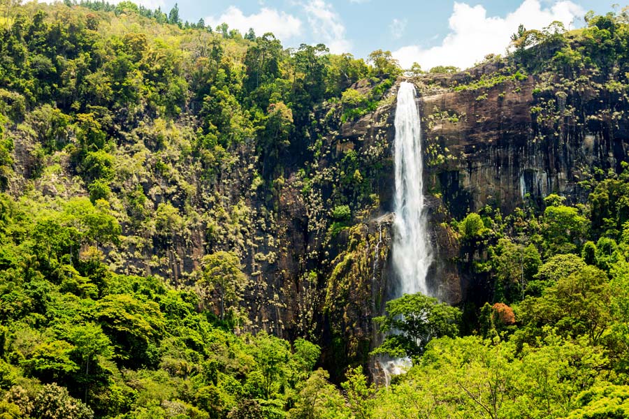 Sri Lanka - Le pays du Thé