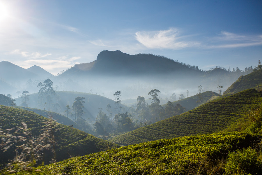 Sri Lanka - Le pays du Thé