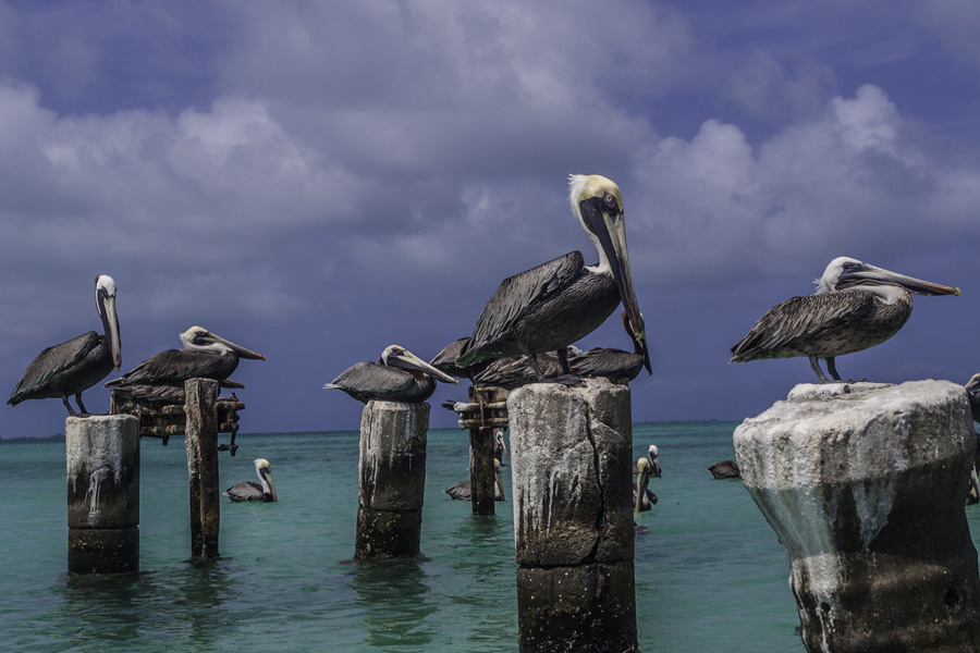 Venezuela - Bienvenue à Los Roques