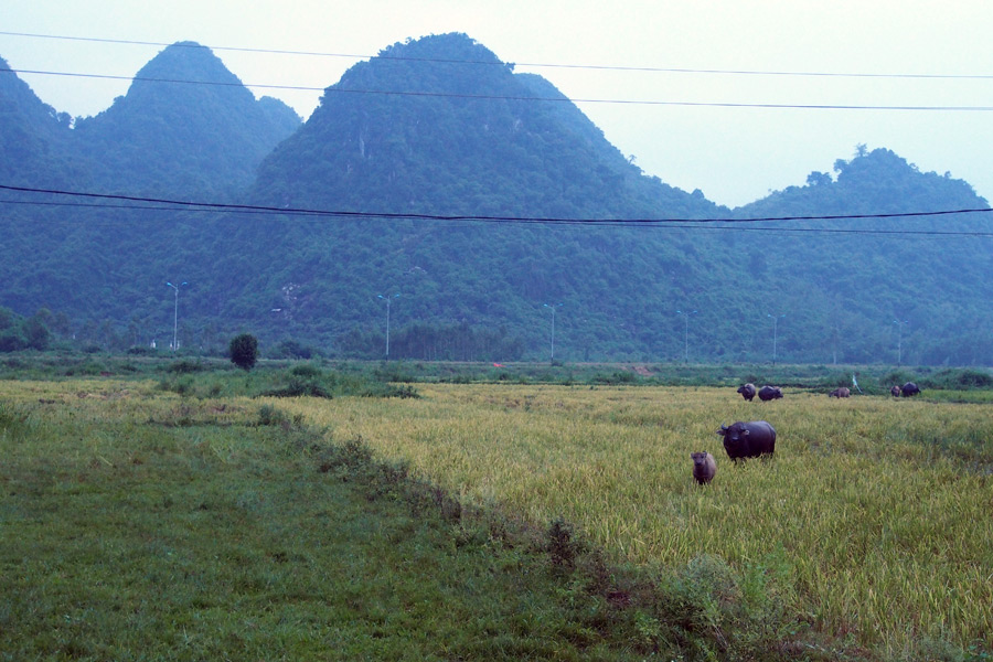 Vietnam - Aventures en plein air au parc national de Phong Nha Ke Bang