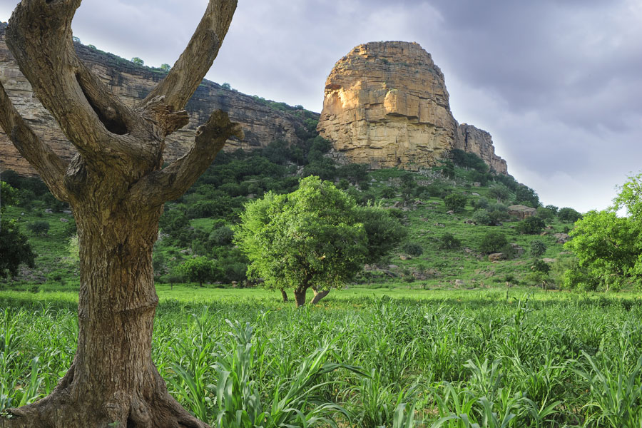 Mali - Le Pays Mandingue