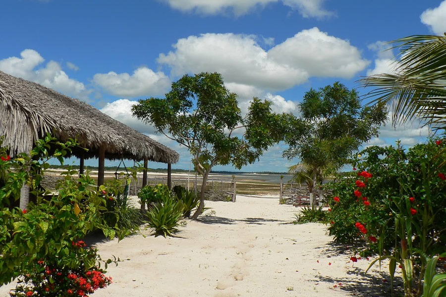 Brésil - À la rencontre des hippies du Nordeste brésilien à Jericoacoara