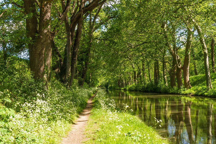 France - Balade le long du Canal du Midi