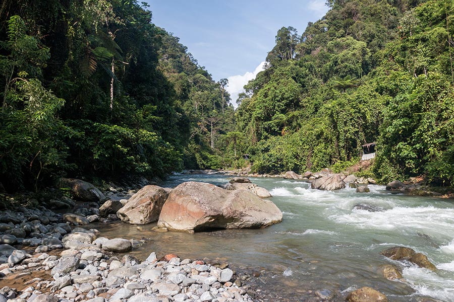 Sumatra, l'Île Jardin aux Confins de l'Indonésie