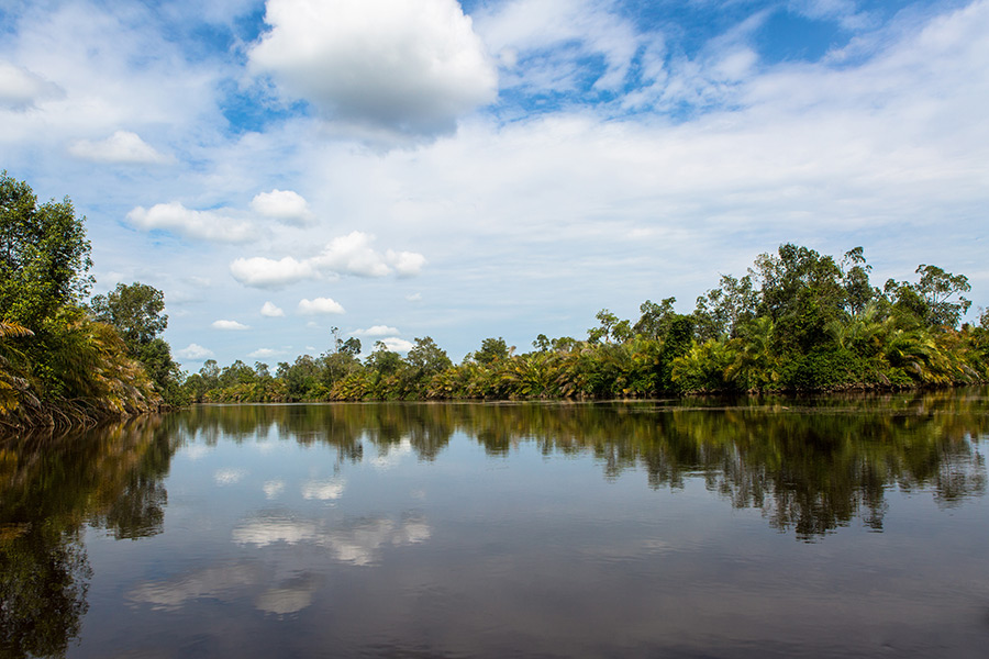 République Démocratique du Congo - La Vie sur le Fleuve Congo