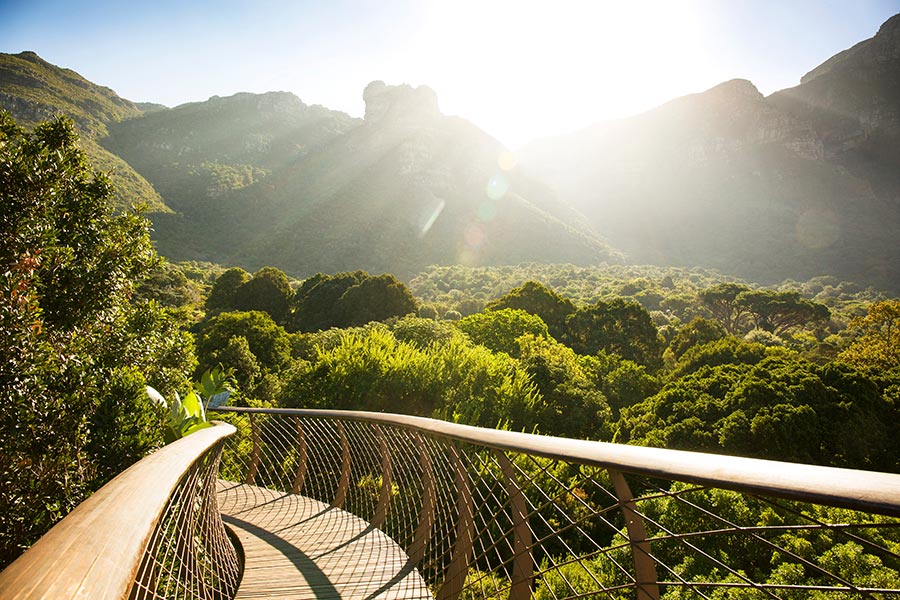 Afrique du Sud - Cape Town, une ville dynamique au riche patrimoine culturel