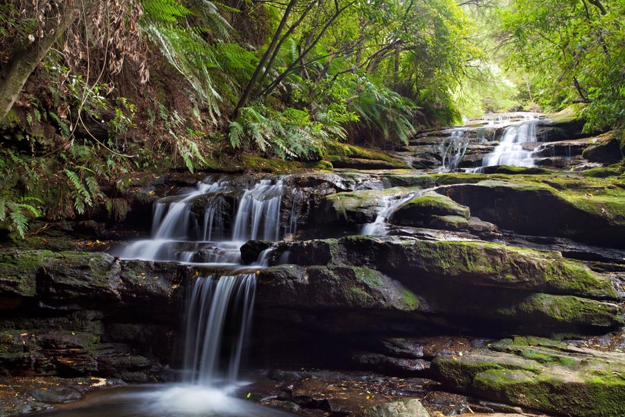 Australie - Escapade aux Blue Mountains