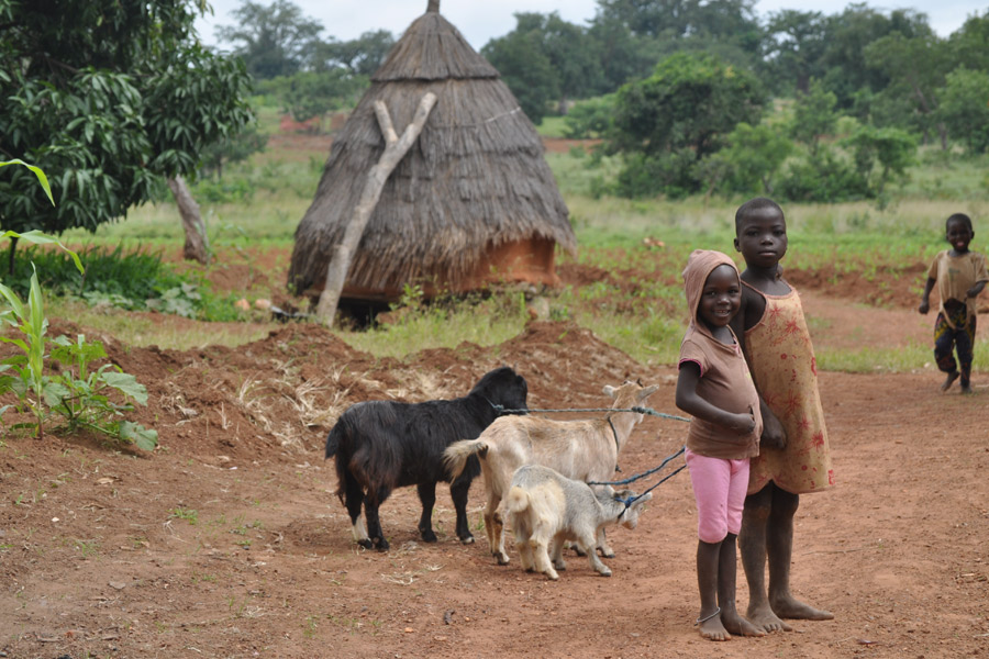 Bénin - Les Tata, des Châteaux Forts… en Banco