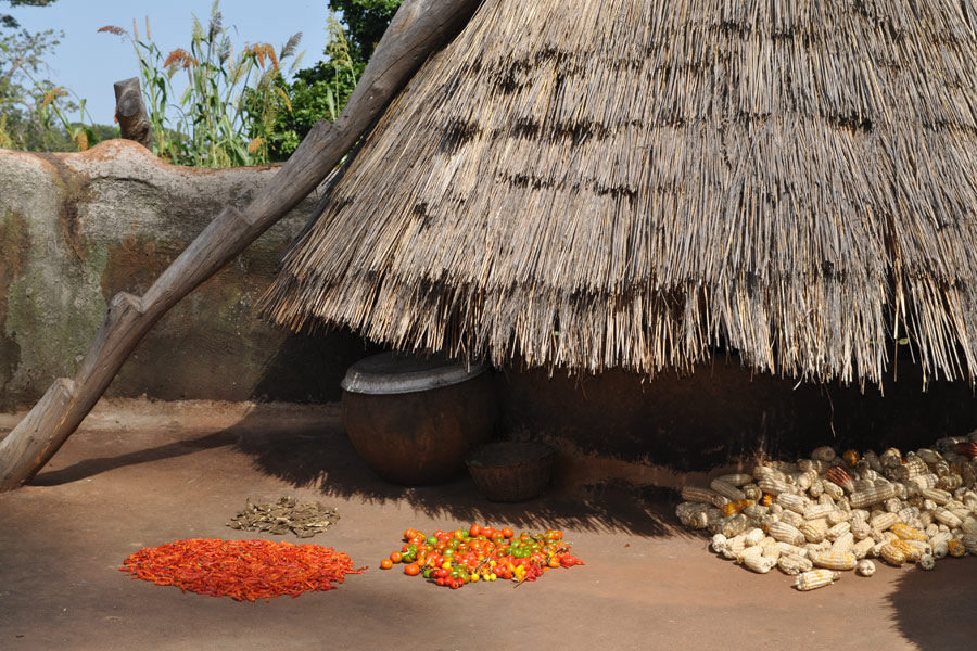 Bénin - Les Tata, des Châteaux Forts… en Banco