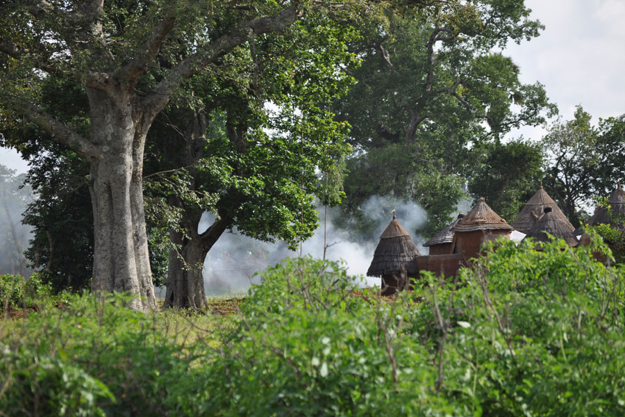 Bénin - Les Tata, des Châteaux Forts… en Banco