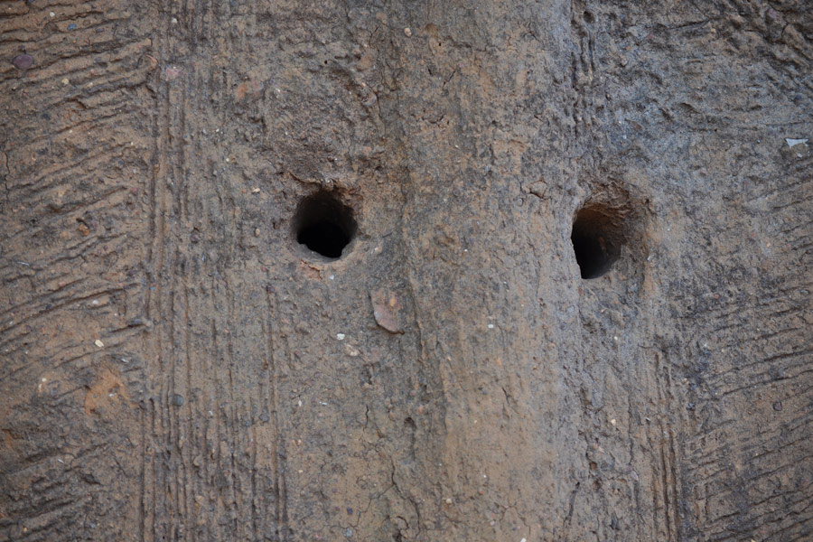 Bénin - Les Tata, des Châteaux Forts… en Banco