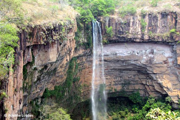 Brésil - Le Pantanal, en Jungle Brésilienne