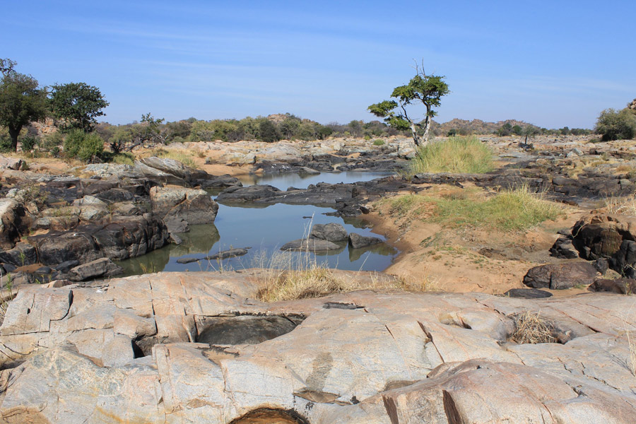 Botswana -Wild At Tuli