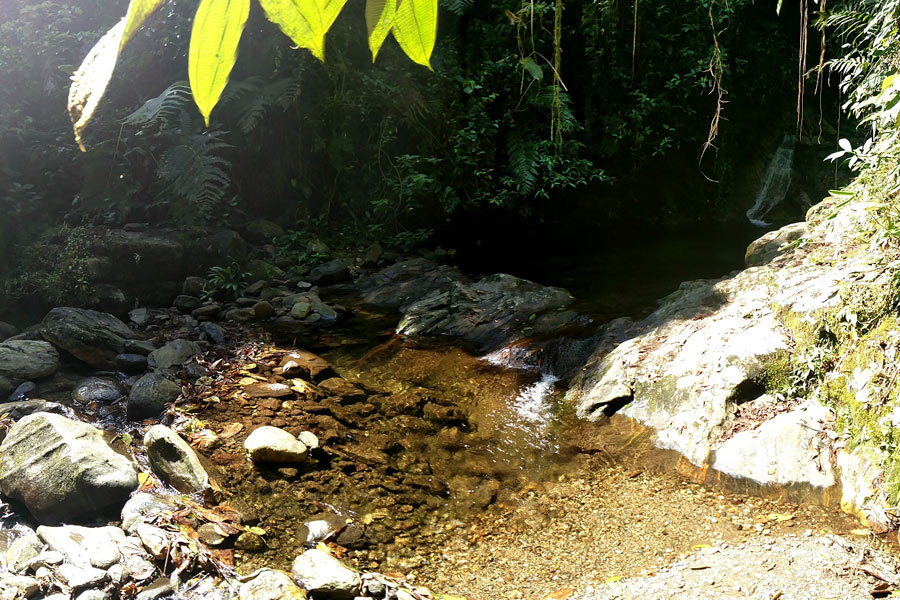 Colombie - La Cité Perdue, sur les traces des Chasseurs de Trésors