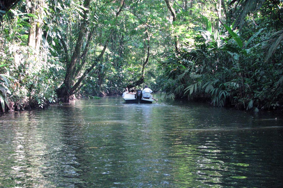 Costa Rica - Le Parc National de Tortuguero