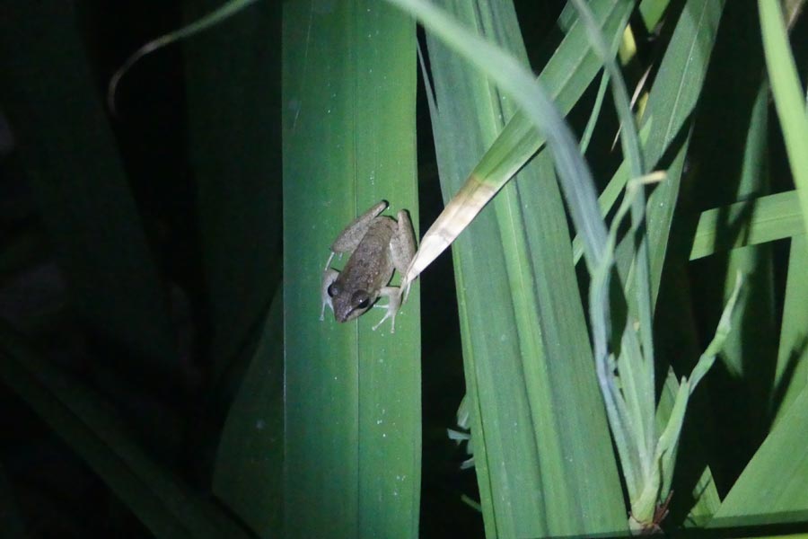 Costa Rica - Osez la Péninsule d’Osa