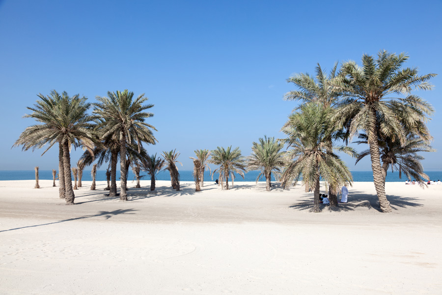 Emirats Arabes Unis - Les Sept Merveilles du Golfe Persique