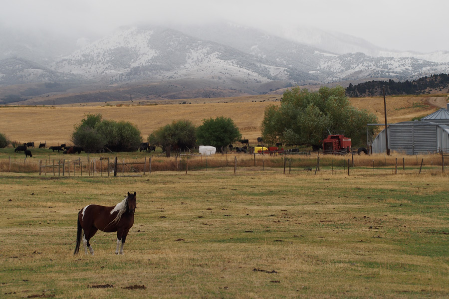 Etats-Unis - Montana, The Treasure State