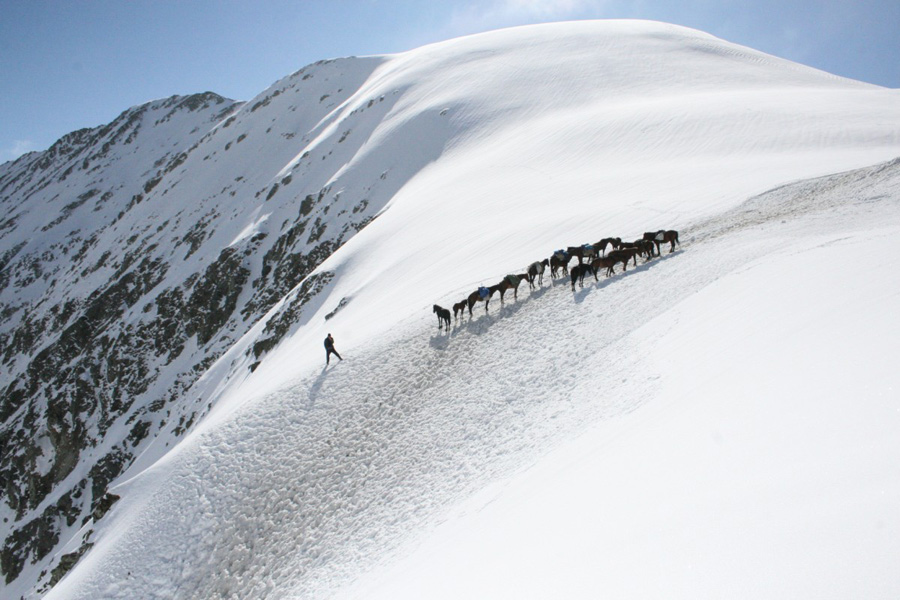 Géorgie - Une Transhumance Hors du Commun