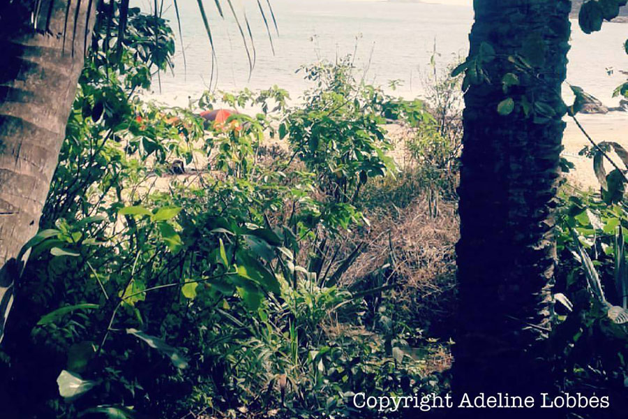 Guinée - Les îles de Loos