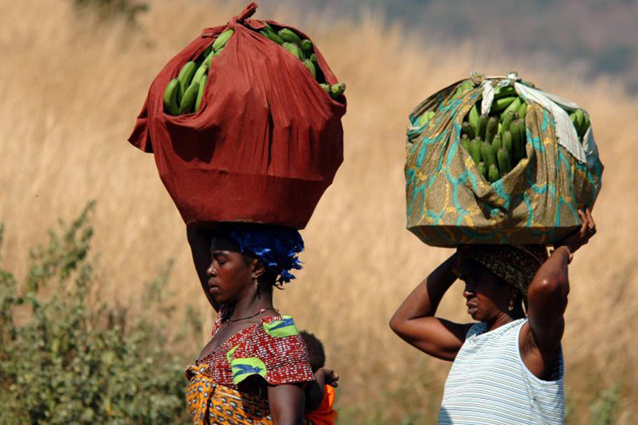 Guinée - Samaya, le Lac aux Mille Pattes