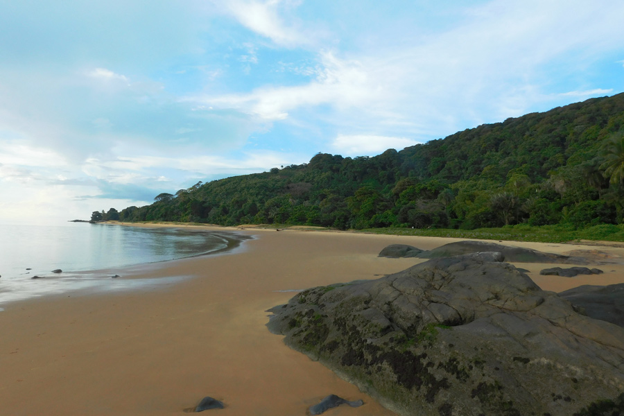 Guyane - Un Bout d’Amazonie en France