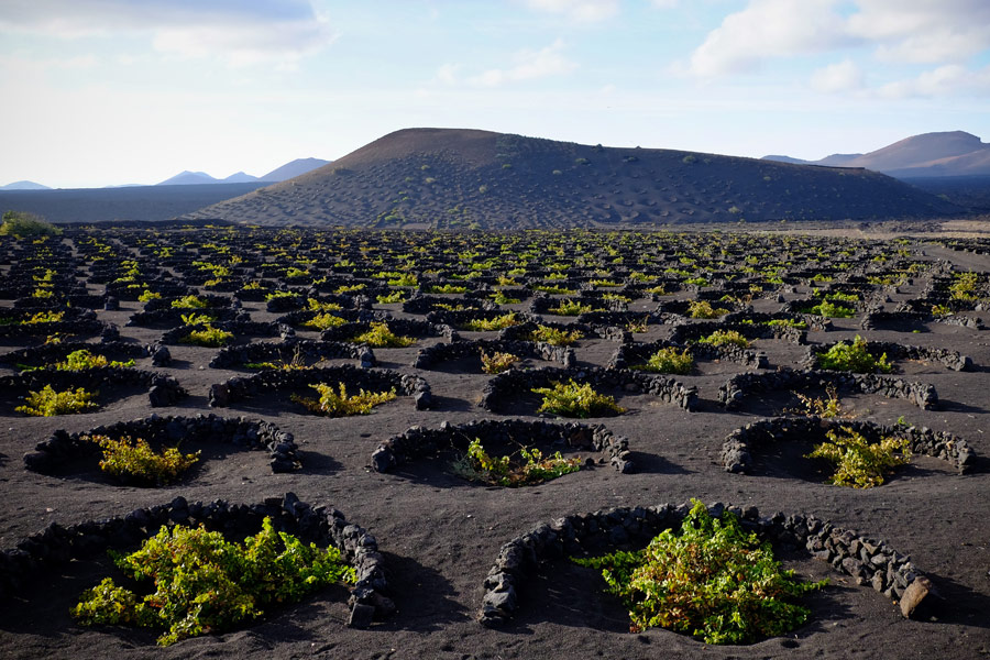 Iles Canaries - Lanzarote, l'île aux volcans