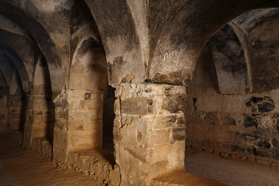 Jordanie - De châteaux en châteaux dans le désert jordanien