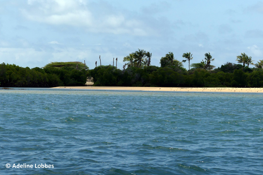 Kenya - Lamu, une Écrin dans l'Océan