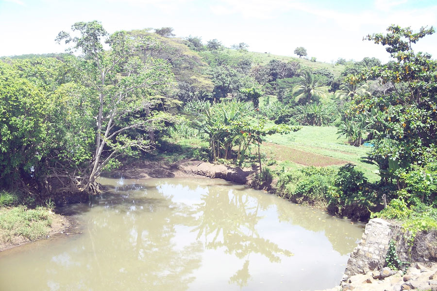 Madagascar - Un Trail Tropical à Nosy Bé