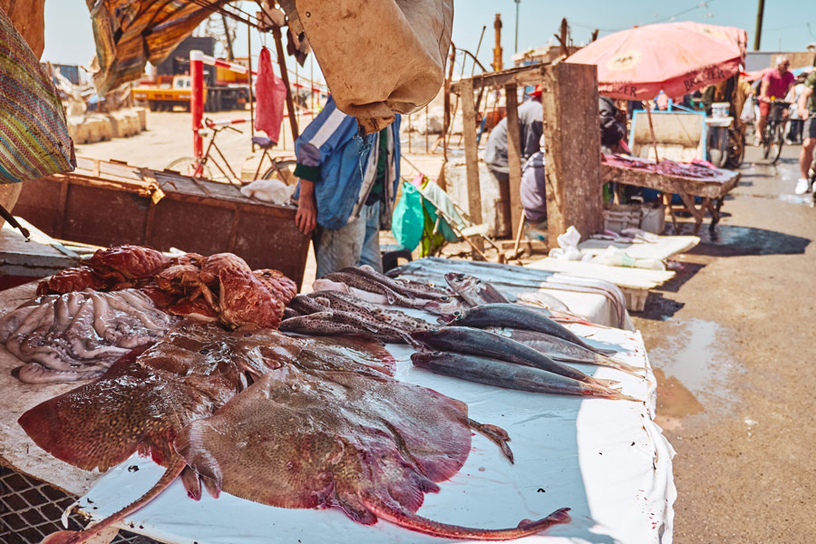 Maroc - Essaouira, la Cité du Vent, âme éternelle du Maroc