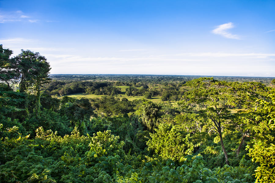 Mexique - Palenque : entre Ruines, Jungle et Cascades