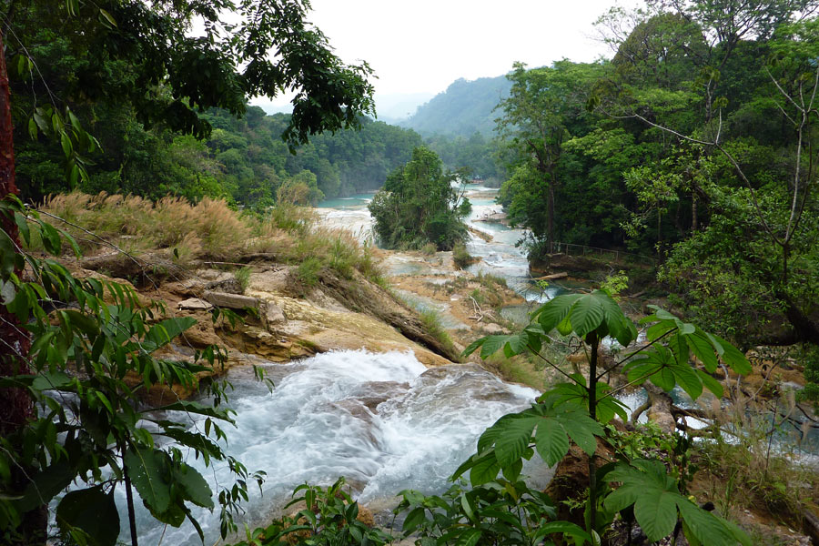 Mexique - Palenque : entre Ruines, Jungle et Cascades