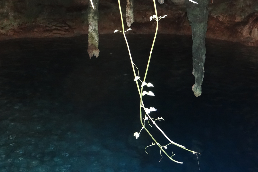 Mexique - Voyage sous terre au Yucatan