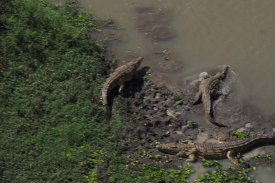 Mozambique - Écotourisme au Parc National de Gorongosa