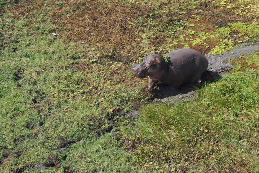 Mozambique - Écotourisme au Parc National de Gorongosa