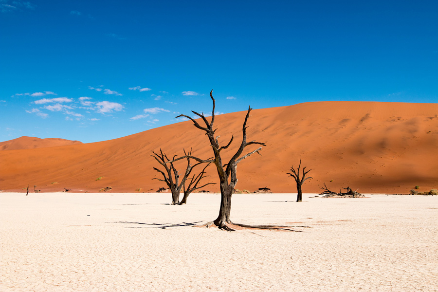 Namibie - Une Terre de Mirages