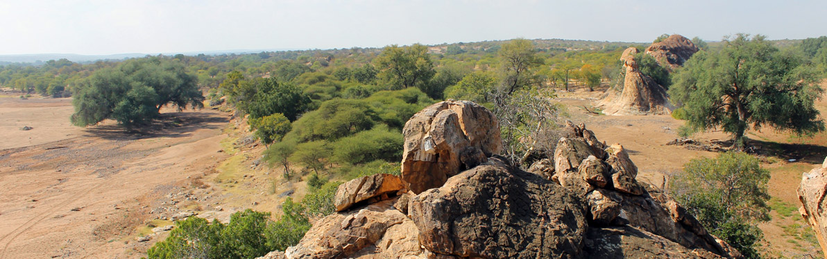 Voyage Découverte au Botswana -Wild At Tuli