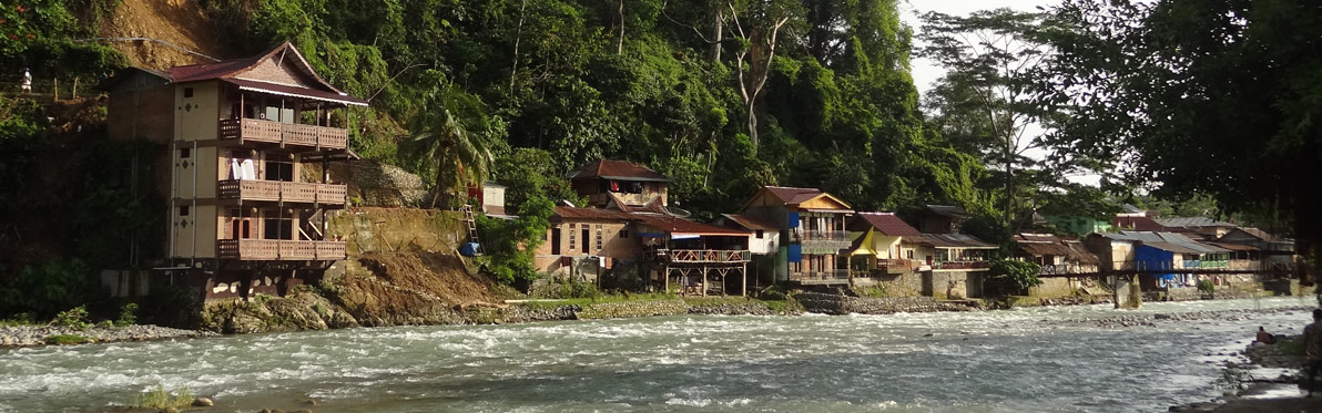 Voyage Découverte en Indonésie - Camper au milieu des Orang Outans à Sumatra