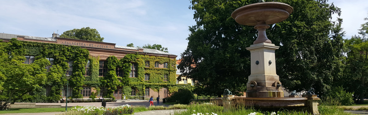 Voyage Découverte en Suède - Lund, une ville d’histoire et d’étudiants