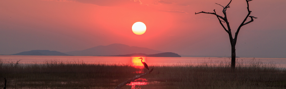 Voyage Découverte au Zimbabwe - Triade de Parcs Nationaux au Zimbabwe