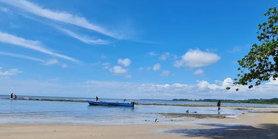 Guide de Voyage - Gabon