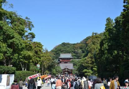 Visite Guidée à Tokyo - Excursion à Kamakura 