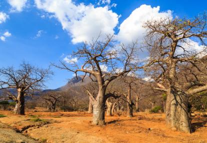 Safari en Tanzanie - Trésors et Tribus de Tanzanie