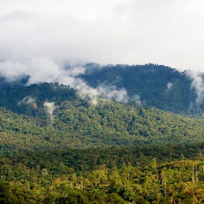 Voyage en Equateur - Au cœur de l'Amazonie profonde Equatorienne