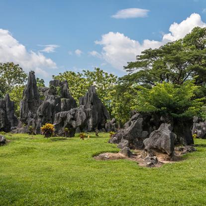 Voyage à Sulawesi - Immersion chez le Bugis et Tana Toraja