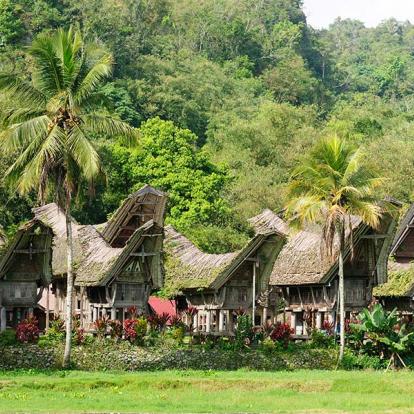 Voyage à Sulawesi - Immersion chez le Bugis et Tana Toraja