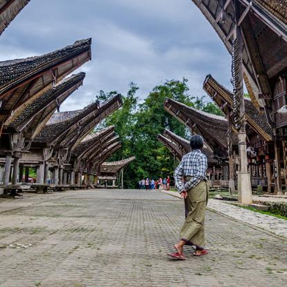 Circuit à Sulawesi - Immersion chez le Bugis et Tana Toraja